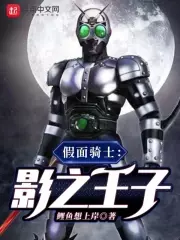 Kamen Rider: Prince of Shadow